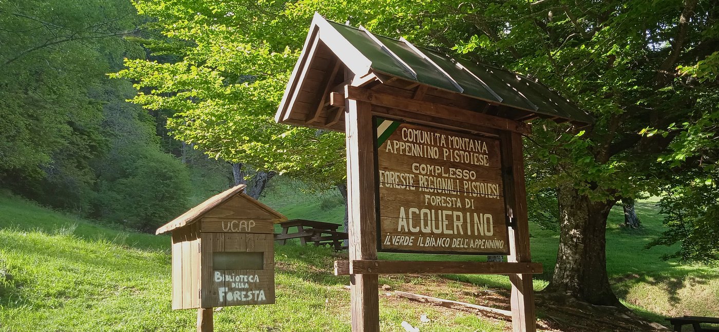 Libri nel bosco, quando la lettura incontra le stelle nella Foresta dell’Acquerino